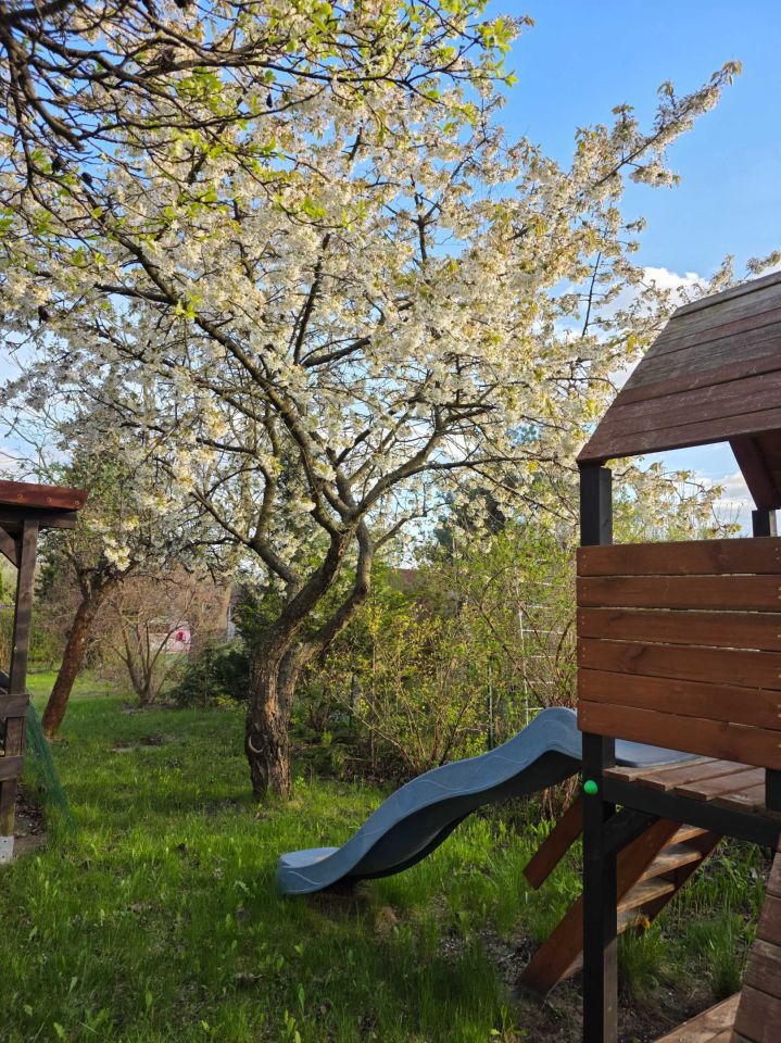 Działka rod Łódź Bałuty, ul. Drewnowska. Zdjęcie 7