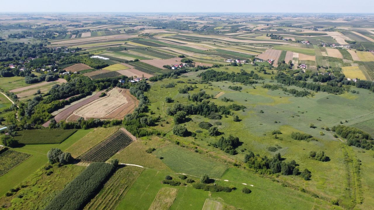 Działka rolna Dacharzów. Zdjęcie 2