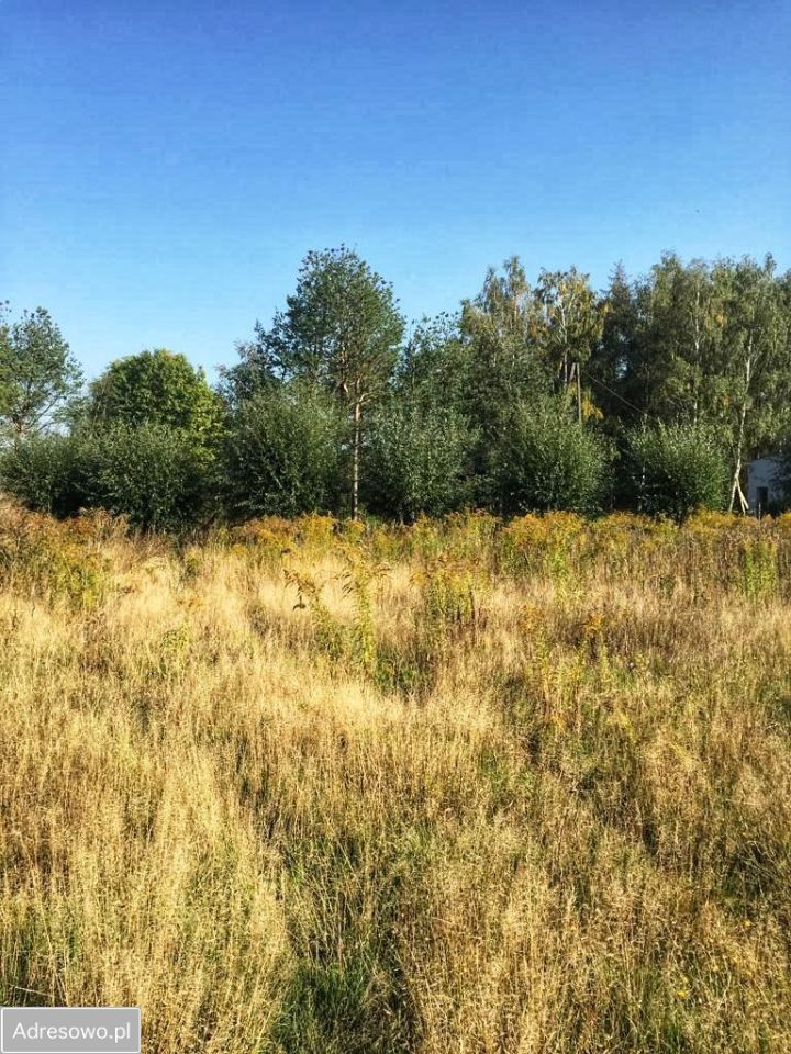 dom wolnostojący, 5 pokoi Osiedle Poznańskie. Zdjęcie 11