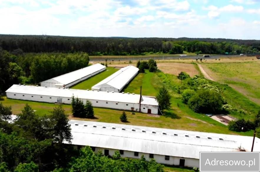 Hala/magazyn Skwierzyna