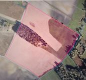 Działka rolna Ludowice. Zdjęcie 4