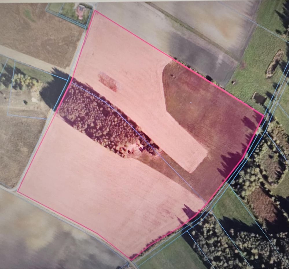 Działka rolna Ludowice. Zdjęcie 5