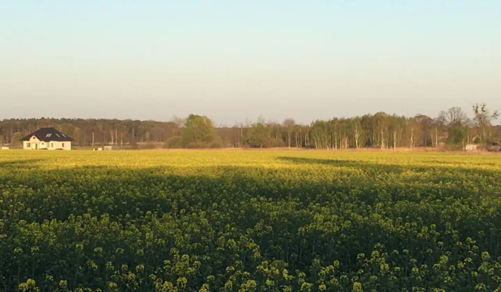 Działka budowlana Grodziec