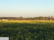 Działka budowlana Grodziec