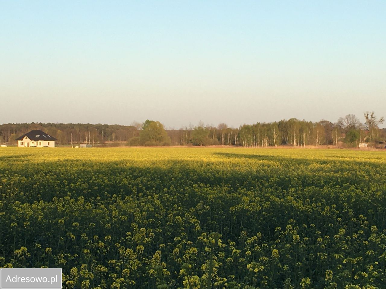 Działka budowlana Grodziec