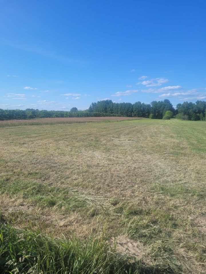 Działka budowlana Budy Ciepielińskie. Zdjęcie 6
