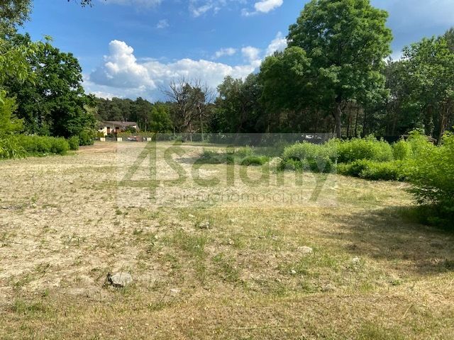 Działka budowlana Wyszków Rybienko Leśne. Zdjęcie 9