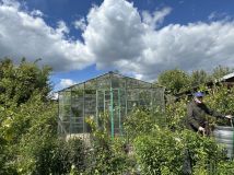 Działka rod Czarnków