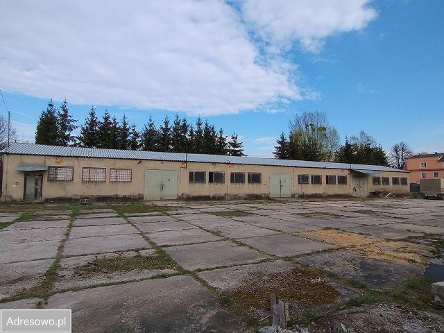 Hala/magazyn Elbląg, al. Grunwaldzka. Zdjęcie 1
