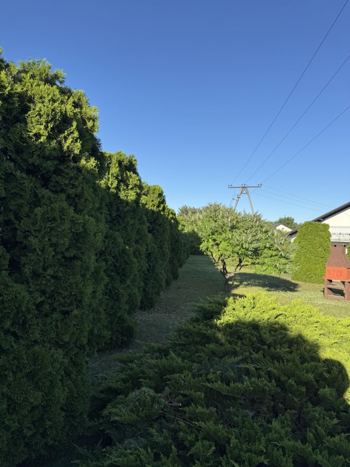 dom wolnostojący, 4 pokoje Kurzętnik Kurzętnik Dolny, ul. Świerkowa. Zdjęcie 10