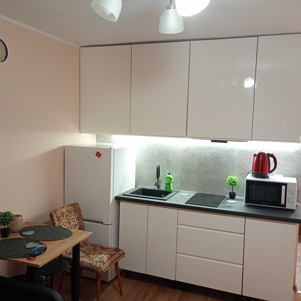 Mieszkanie 1-pokojowe Białystok Os. Młodych. Zdjęcie 2