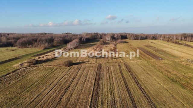 Działka budowlana Jodłówka. Zdjęcie 12