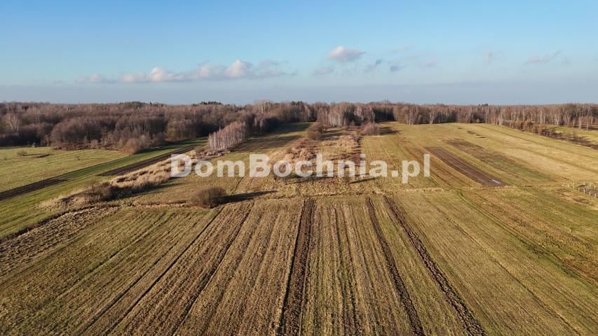 Działka budowlana Jodłówka. Zdjęcie 12