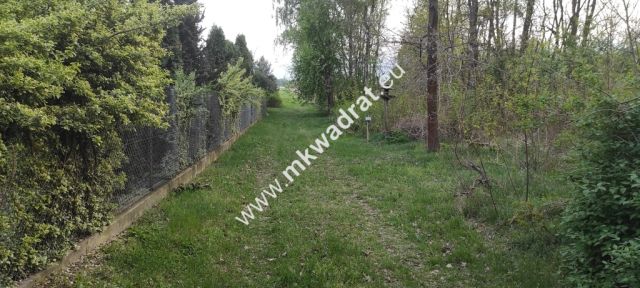 Działka budowlana Pasikonie. Zdjęcie 10