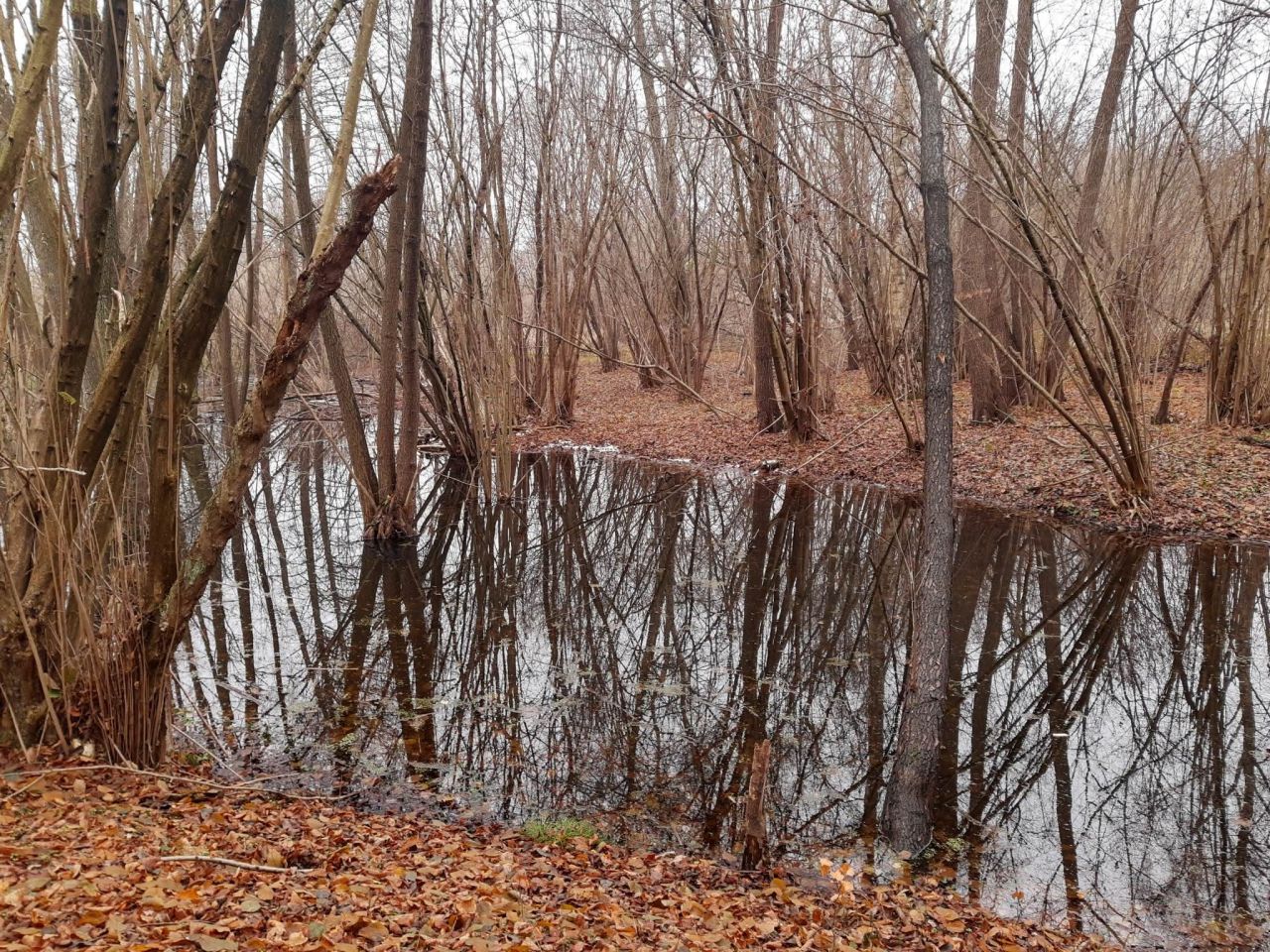Działka budowlana Gronów. Zdjęcie 24
