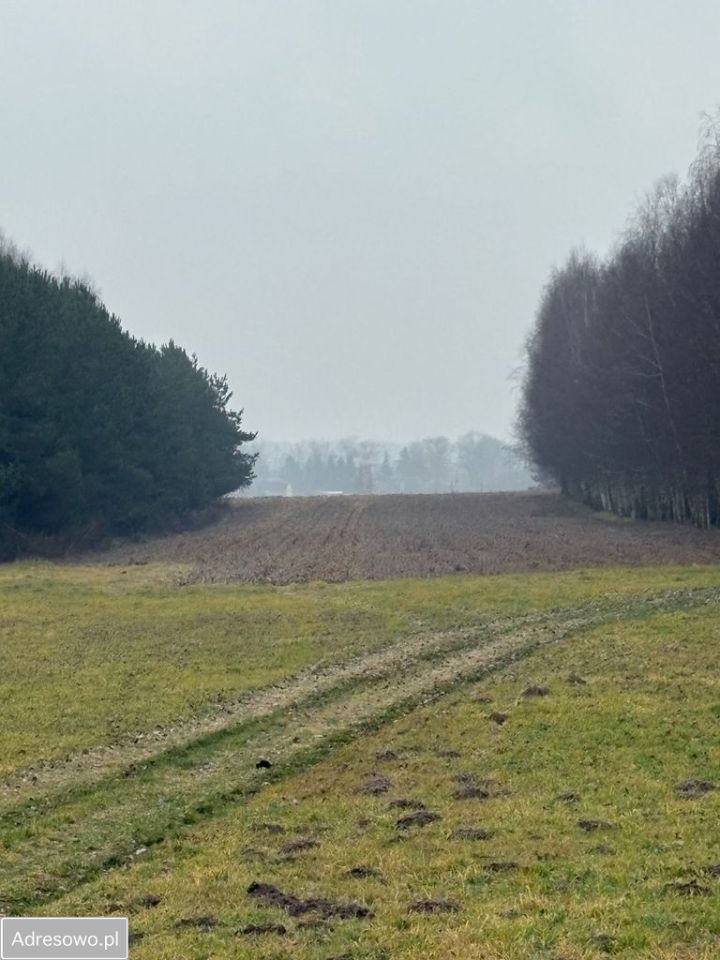 Działka rolna Jędrzejów Nowy. Zdjęcie 5
