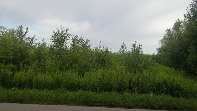 Działka budowlana Złotów. Zdjęcie 13