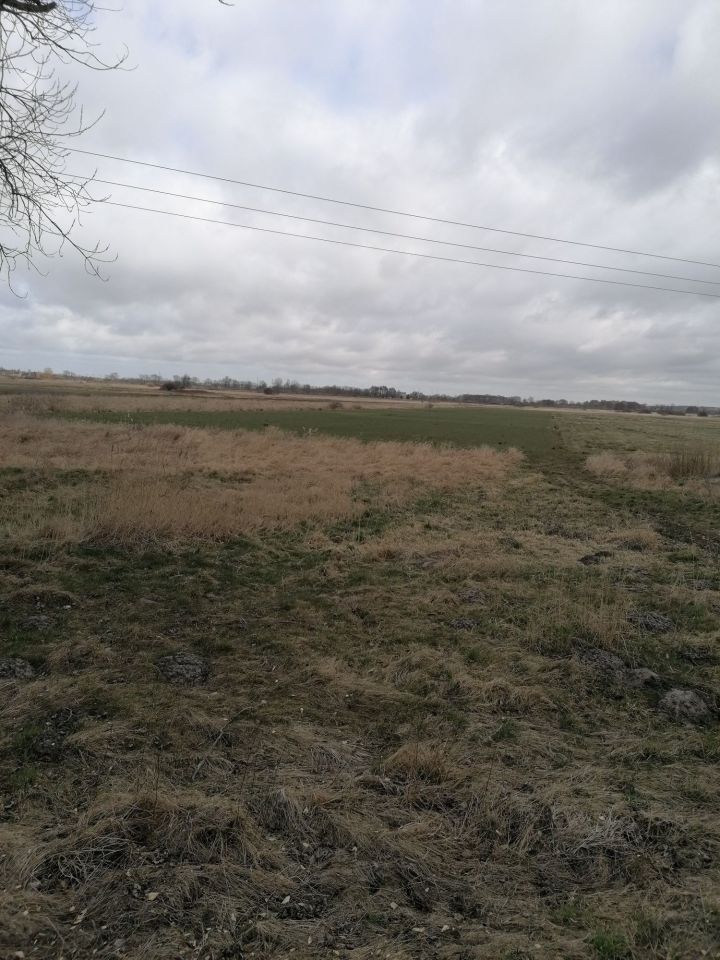 Działka rolna Rusko. Zdjęcie 4