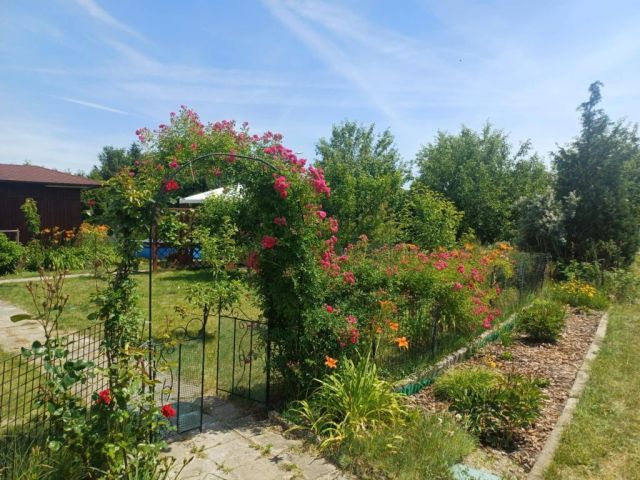 Działka rod Wolsztyn. Zdjęcie 1