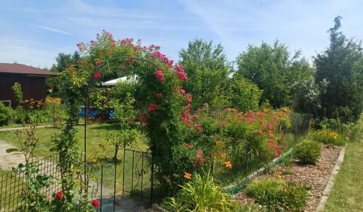 Działka rod Wolsztyn