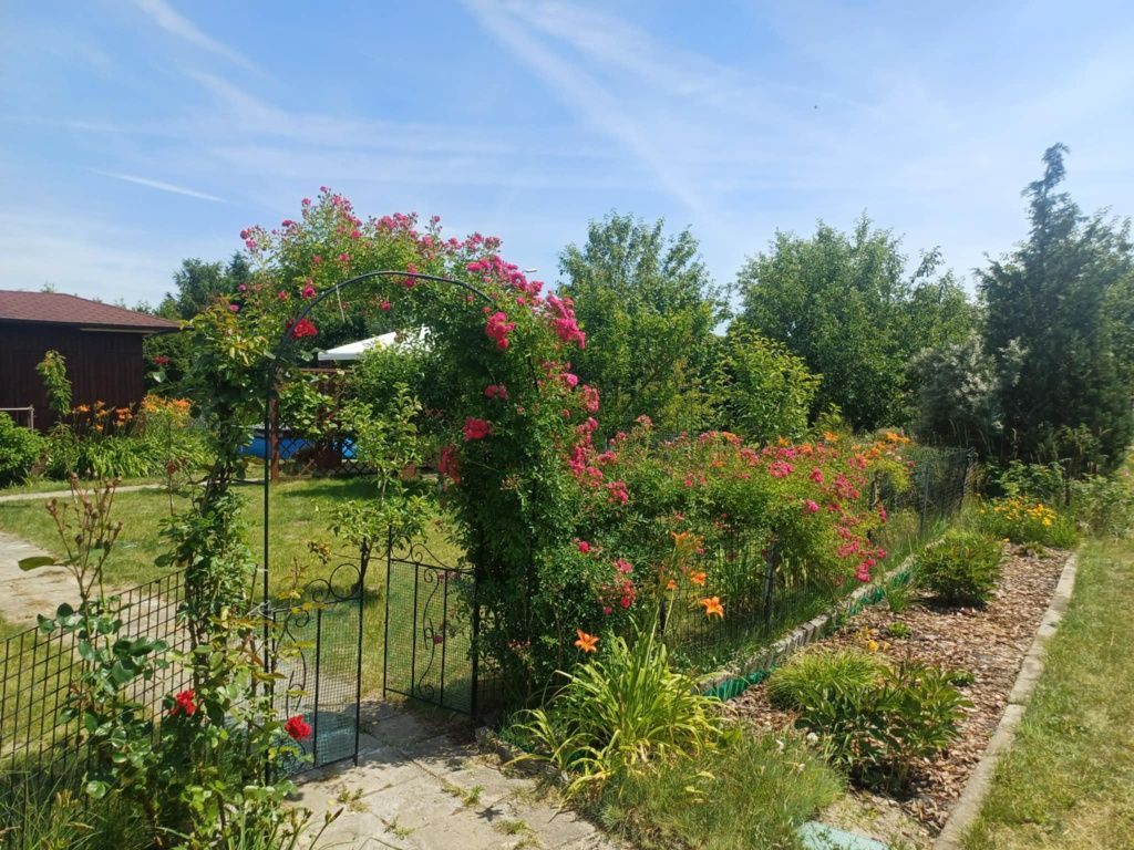 Działka rod Wolsztyn