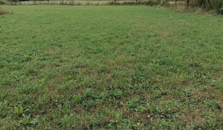 Działka budowlana Machowa