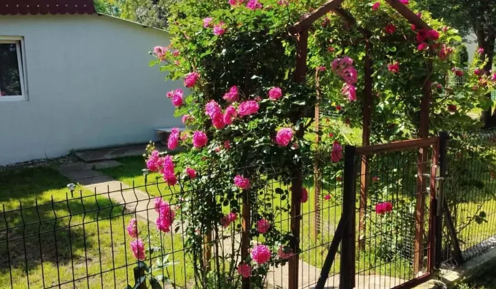 dom letniskowy Ząbki