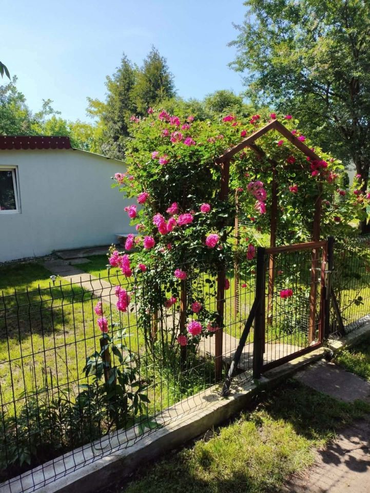 dom letniskowy Ząbki. Zdjęcie 1