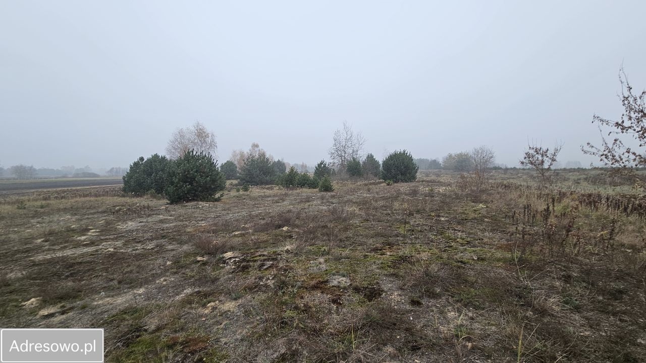 Działka rolna Nowa Wola. Zdjęcie 4