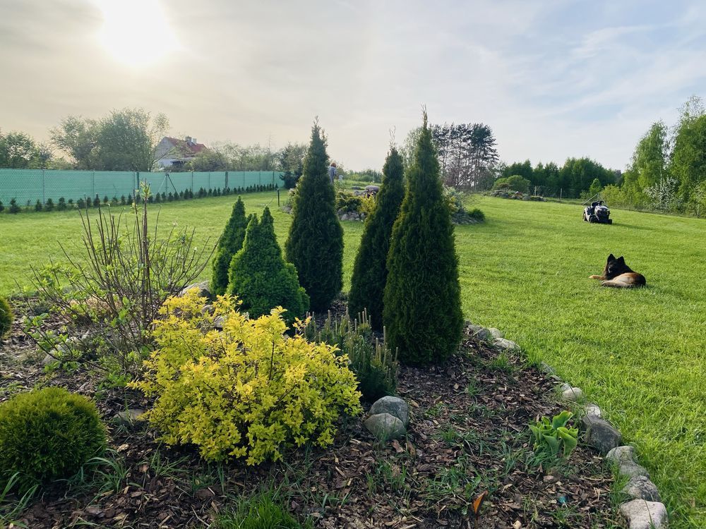 dom letniskowy Jemiołowo. Zdjęcie 4