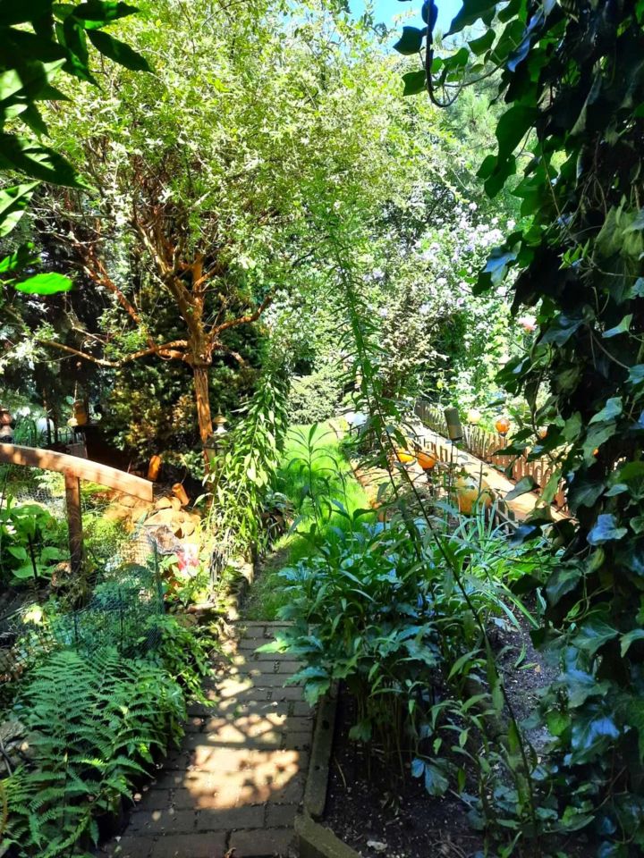 Działka rod Warszawa Wawer, ul. Borowiecka. Zdjęcie 4