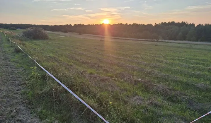 Działka budowlana Sieniczno, ul. Świerkowa