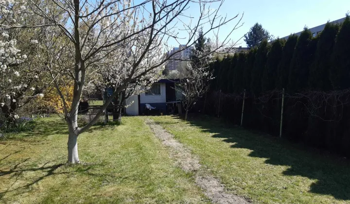 Działka rod Gliwice Szobiszowice, ul. Bernardyńska