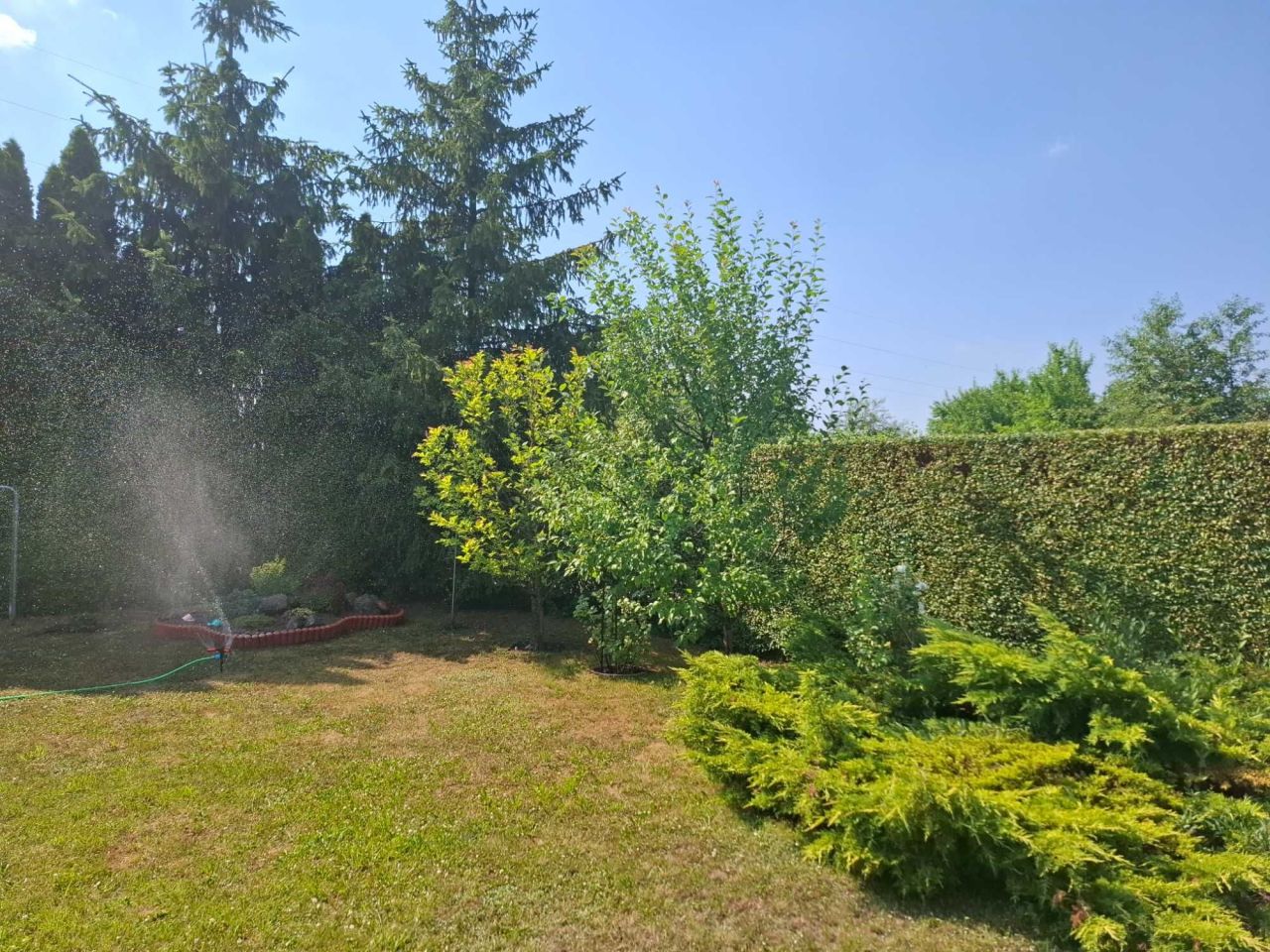 Działka rod Ciechanów. Zdjęcie 6