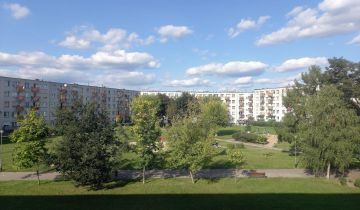 Mieszkanie 4-pokojowe Poznań Winiary, os. Winiary. Zdjęcie 1
