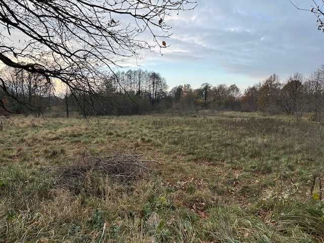 Działka rekreacyjna Łódź Bałuty. Zdjęcie 2