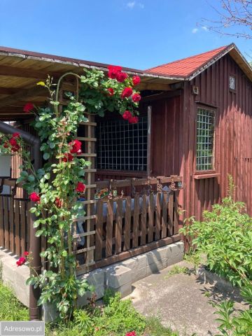 Działka rekreacyjna Piotrków Trybunalski, ul. Wilcza. Zdjęcie 1