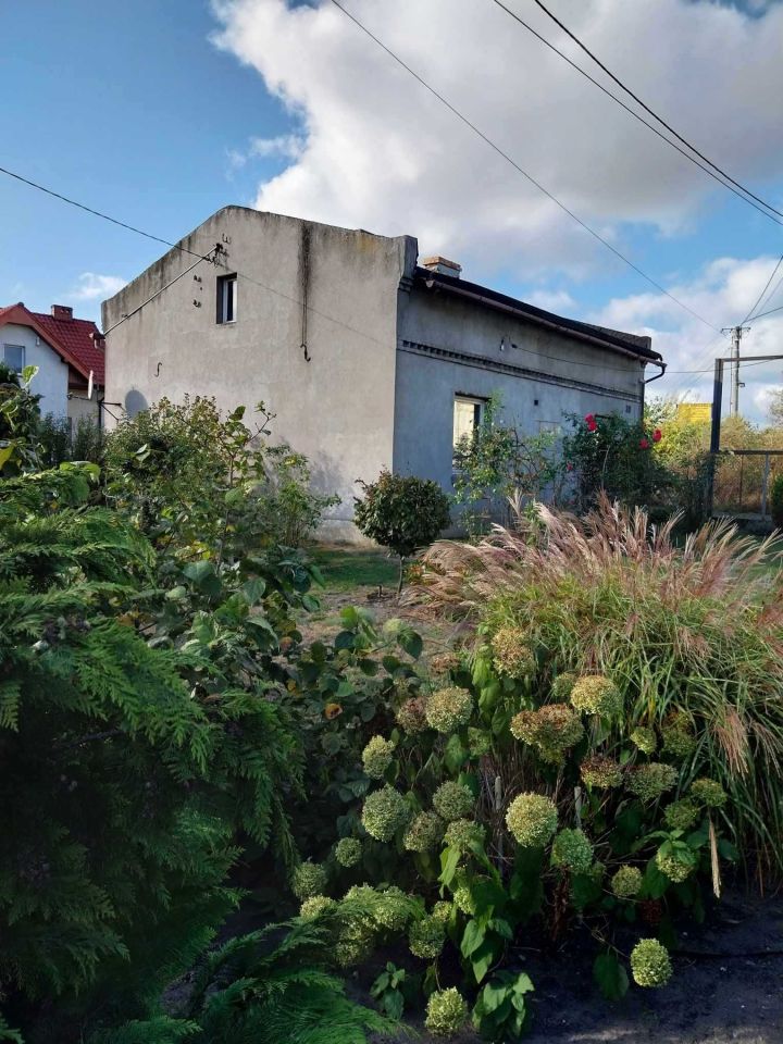 dom wolnostojący Złotniki Kujawskie. Zdjęcie 6