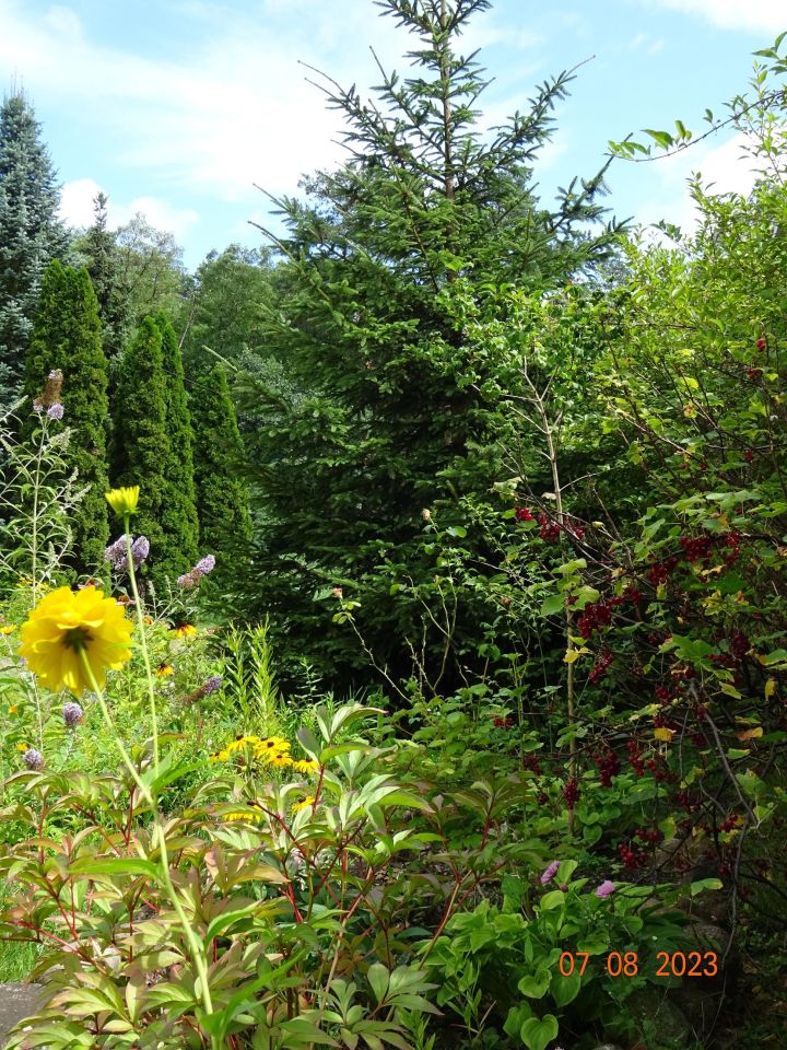 dom wolnostojący, 5 pokoi Długa Szlachecka, ul. Jana Matejki. Zdjęcie 18