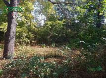 Działka inna Sosnowiec, ul. Konstantego Ildefonsa Gałczyńskiego