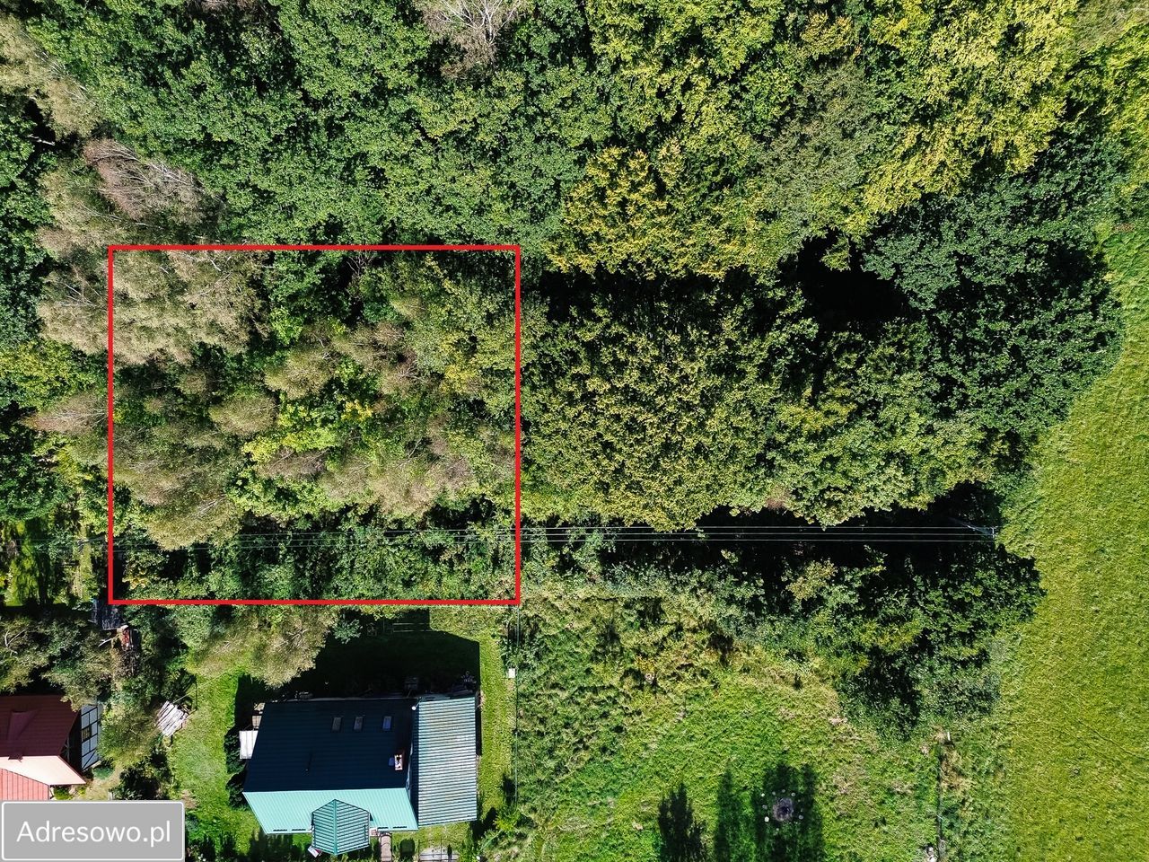 Działka rolno-budowlana Czapielsk. Zdjęcie 8