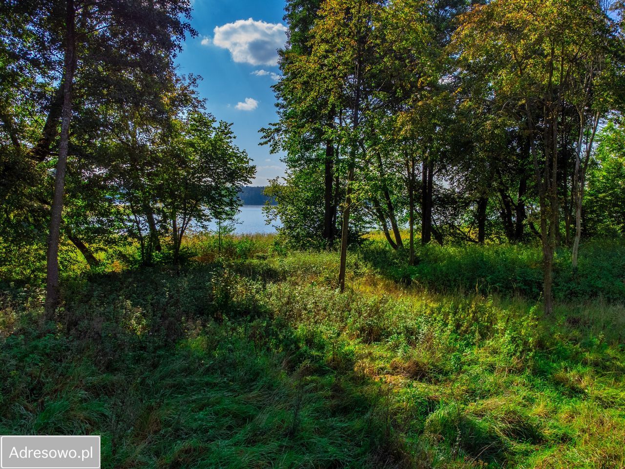 Działka budowlana Pojezierce. Zdjęcie 10