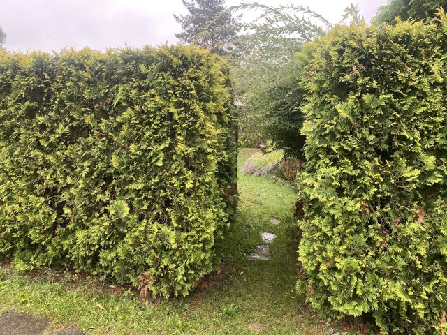 Działka rod Cieszyn, ul. Tysiąclecia. Zdjęcie 1