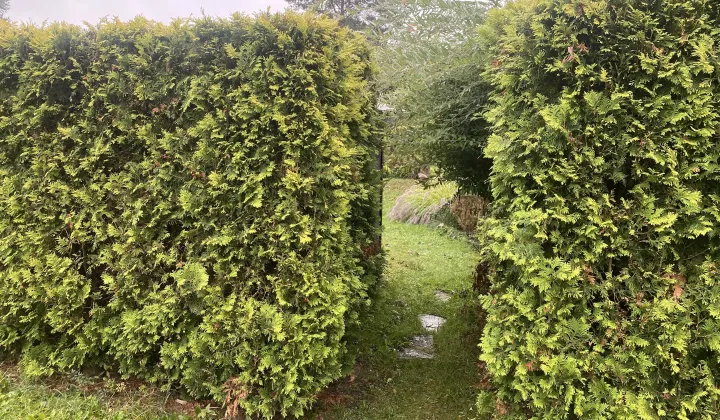 Działka rod Cieszyn, ul. Tysiąclecia