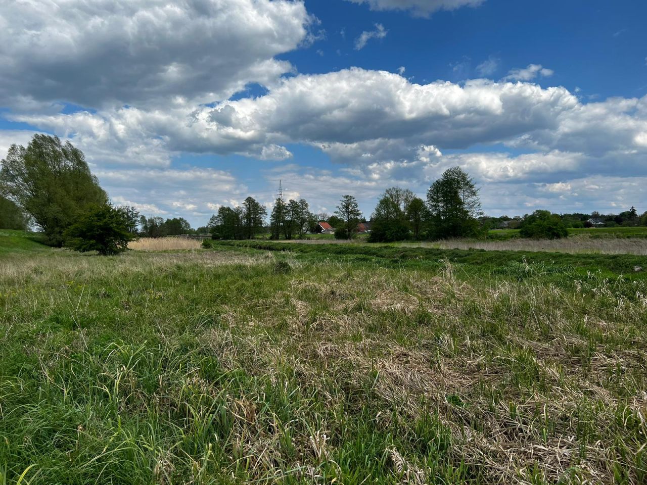 Działka rolna Kołczyn, Kołczyn. Zdjęcie 8