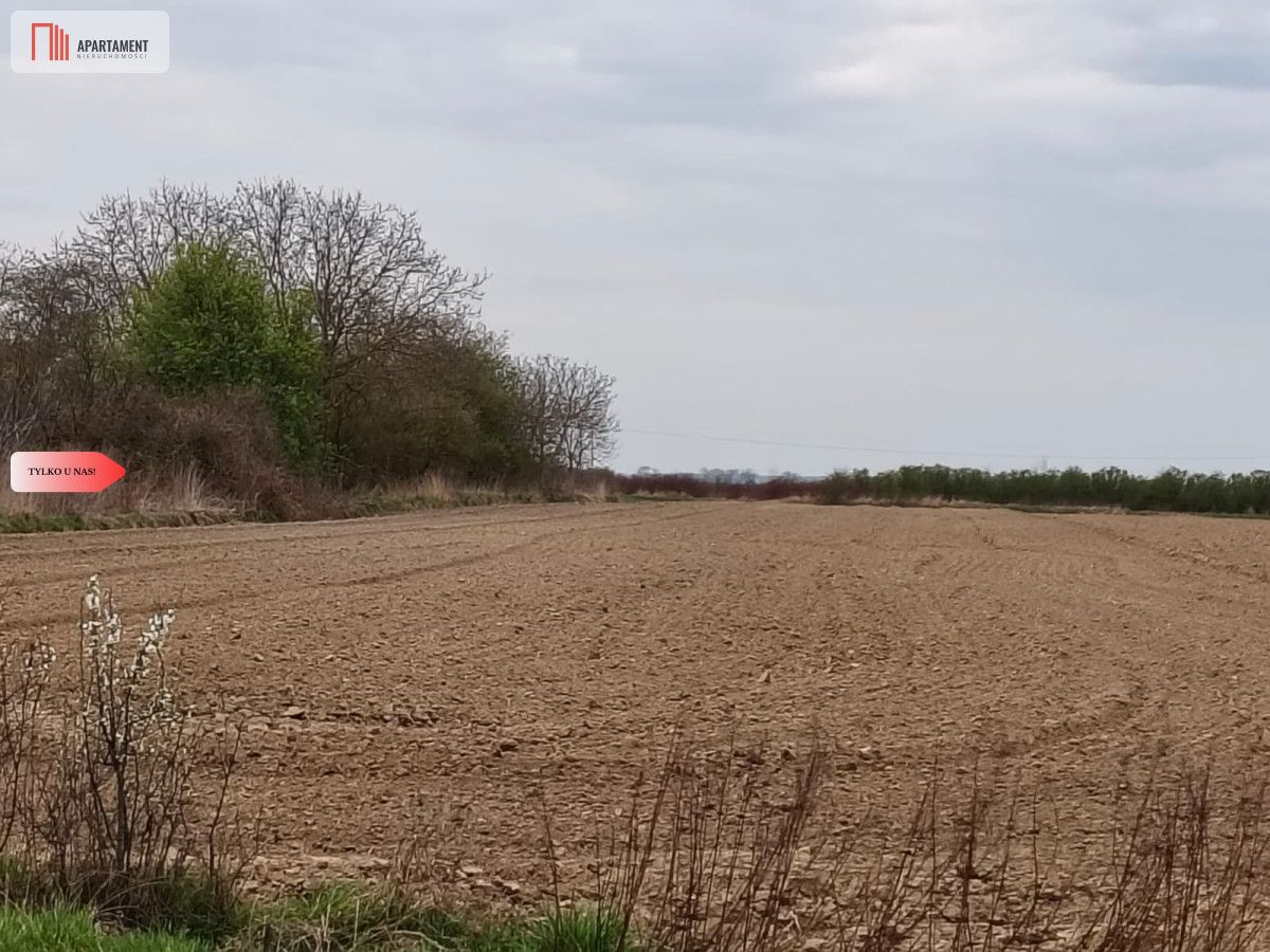Działka rolna Oleśnica. Zdjęcie 4
