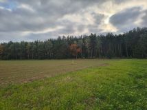Działka rolno-budowlana Sulnowo. Zdjęcie 2