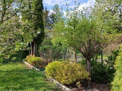 Działka rod Ząbki, ul. Stefana Batorego. Zdjęcie 4