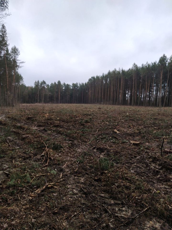 Działka rolna Arbasy Duże. Zdjęcie 5