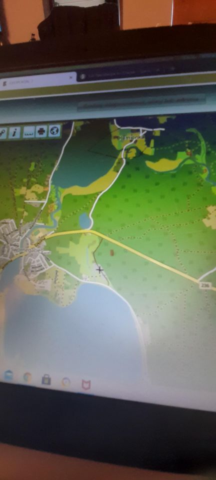 Działka leśna Owink. Zdjęcie 9